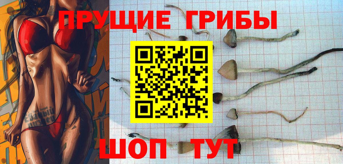 Галлюциногенные грибы Cubensis Бахчисарай